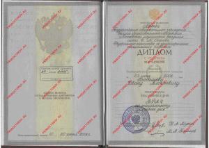 vasilev_diplom_1